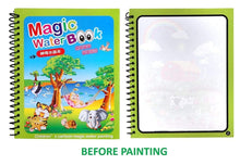 Load image into Gallery viewer, Reusable Water Painting Book | Smudge-Free | Pack of 4 Books

